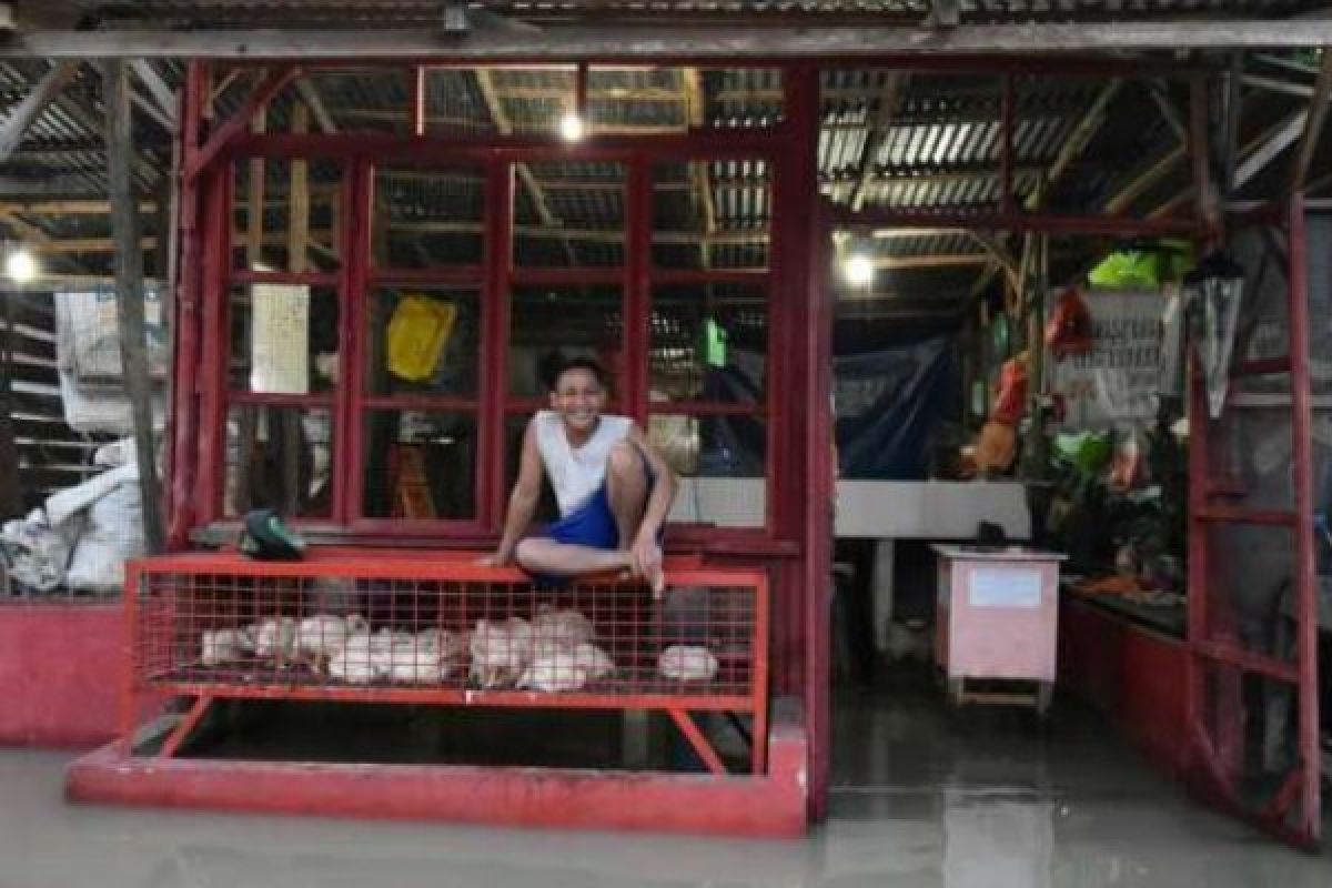 Banjir Terus Genangi Daerah Sepanjang Sungai Sail Pekanbaru