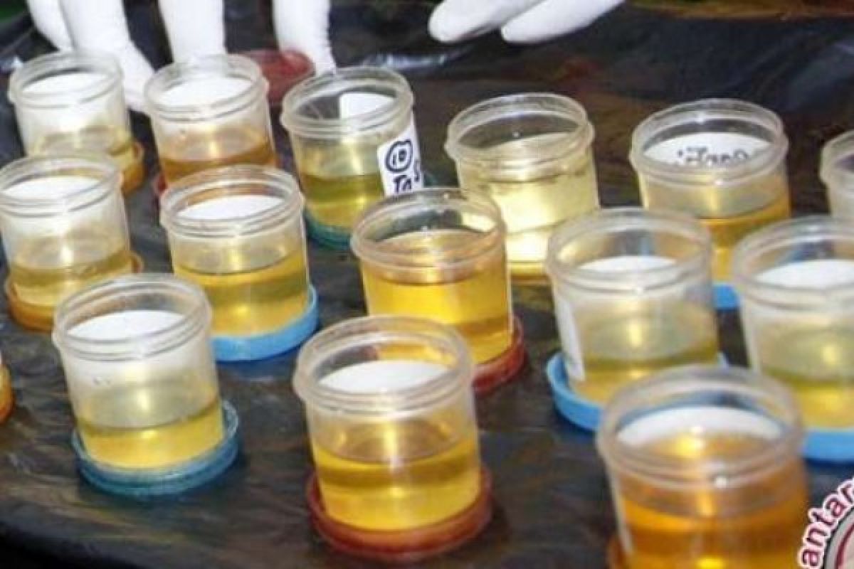BNN Akan Tes Urine Para Awak Angkutan Umum Jelang Lebaran