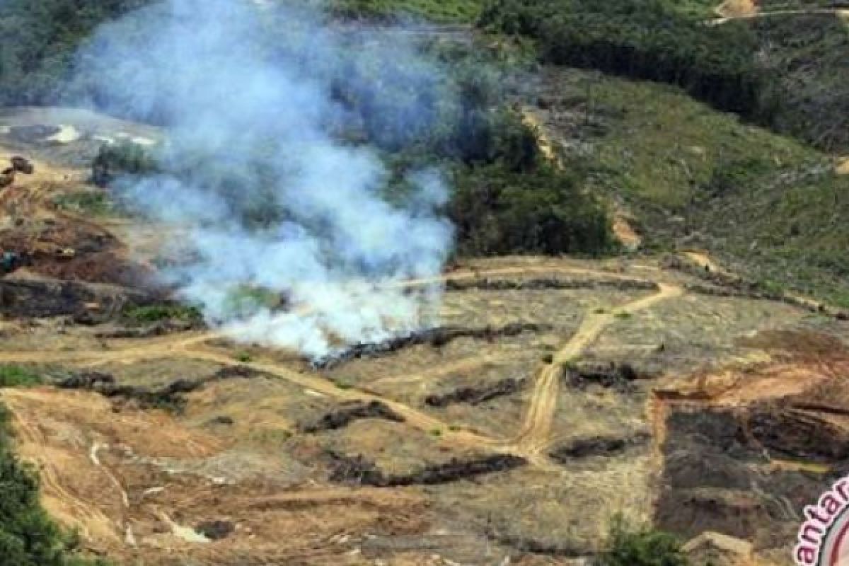 Petisi tertibkan perusahaan sawit ilegal diserahkan ke Gubernur Riau