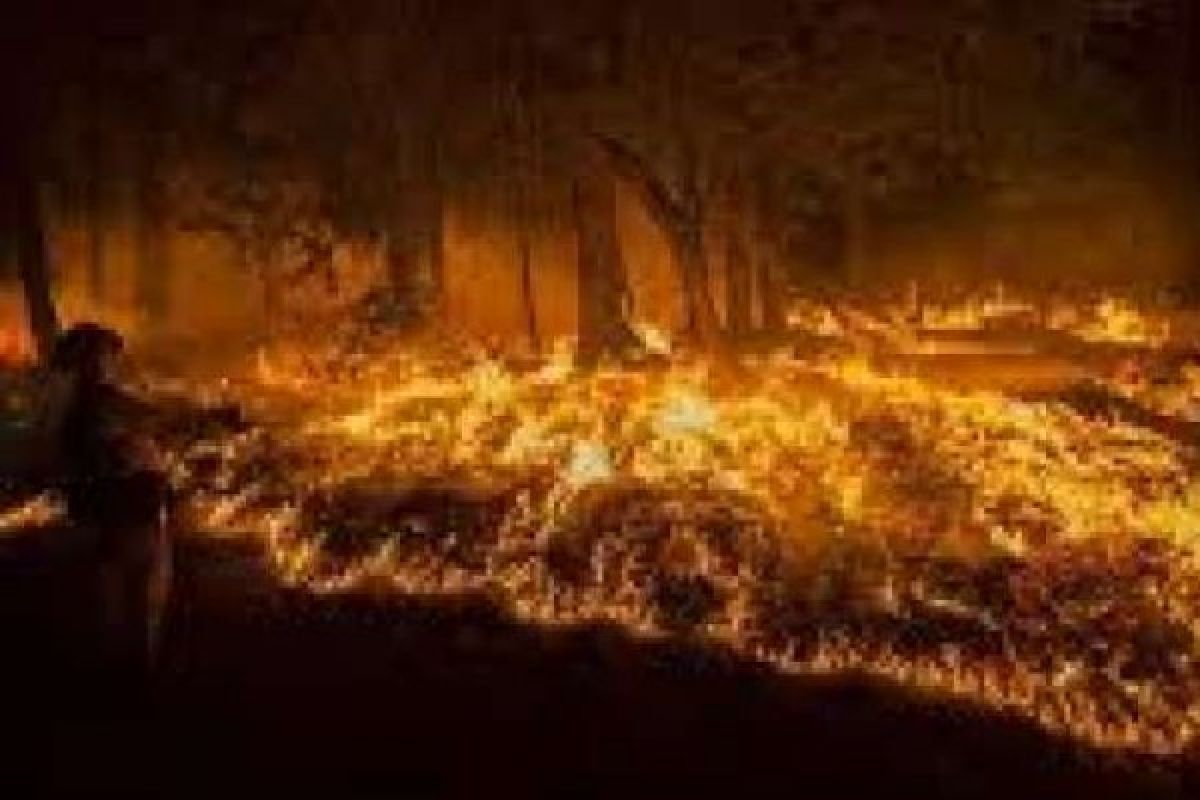 Kebakaran Hutan di Portugal Tewaskan Sedikitnya 19 Orang
