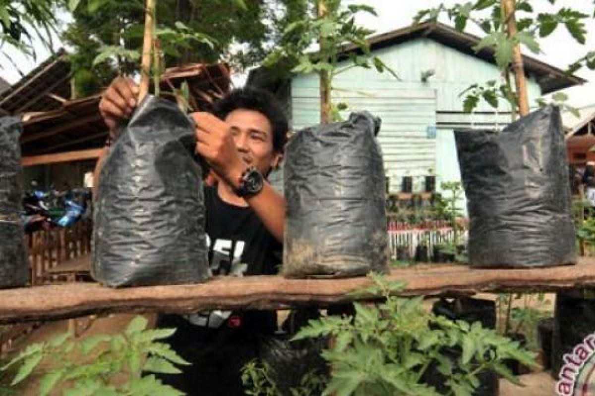 Lima Mahasiswa UGM Ciptakan "Polybag" Berbahan Serabut Kelapa