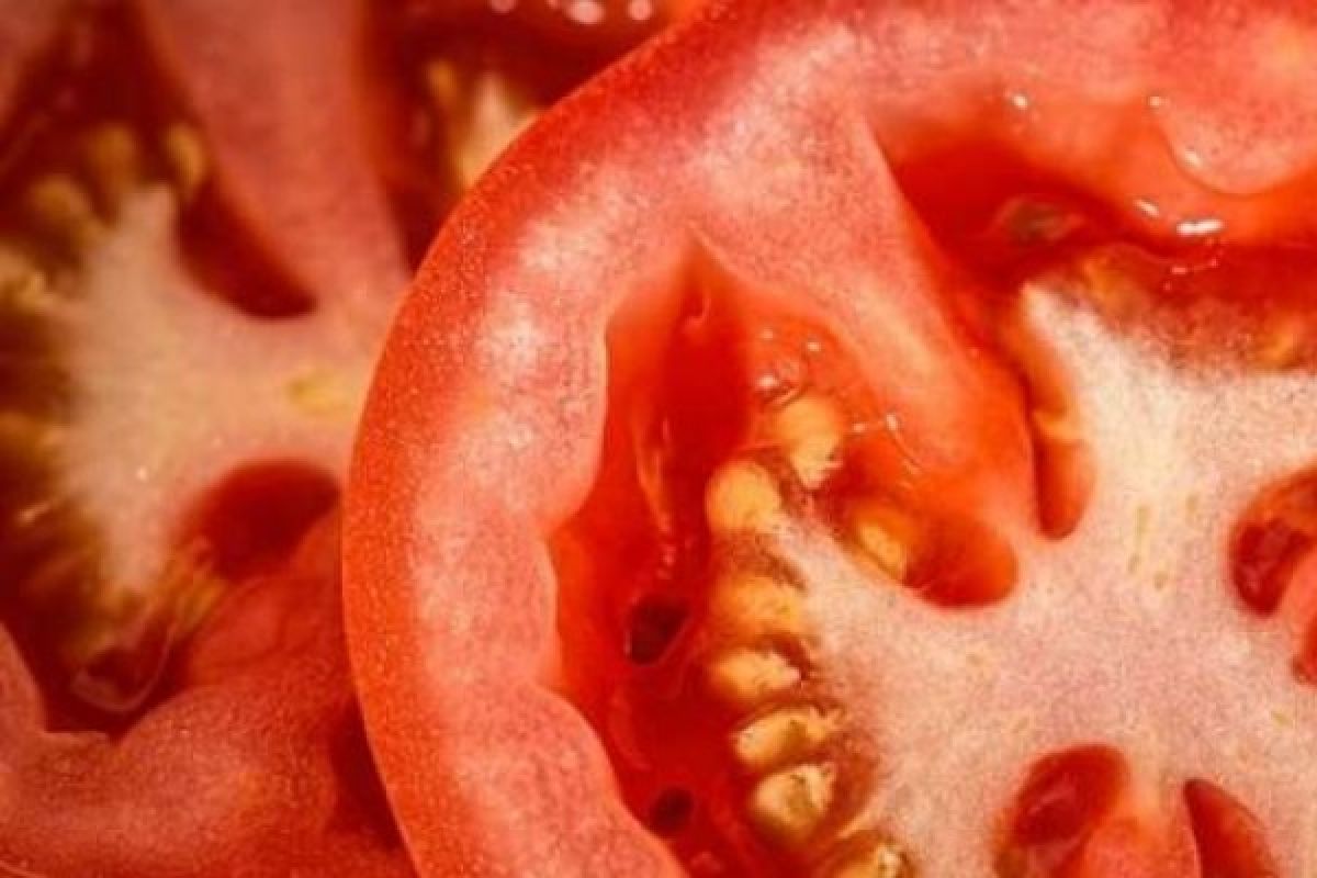 Menurut Anda, Tomat Termasuk Sayuran Atau Buah-Buahan??
