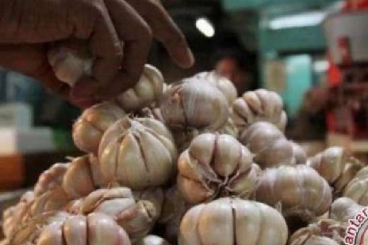 Operasi Pasar Bulog Bengkalis Jual Bawang Putih Rp40.000/Kg