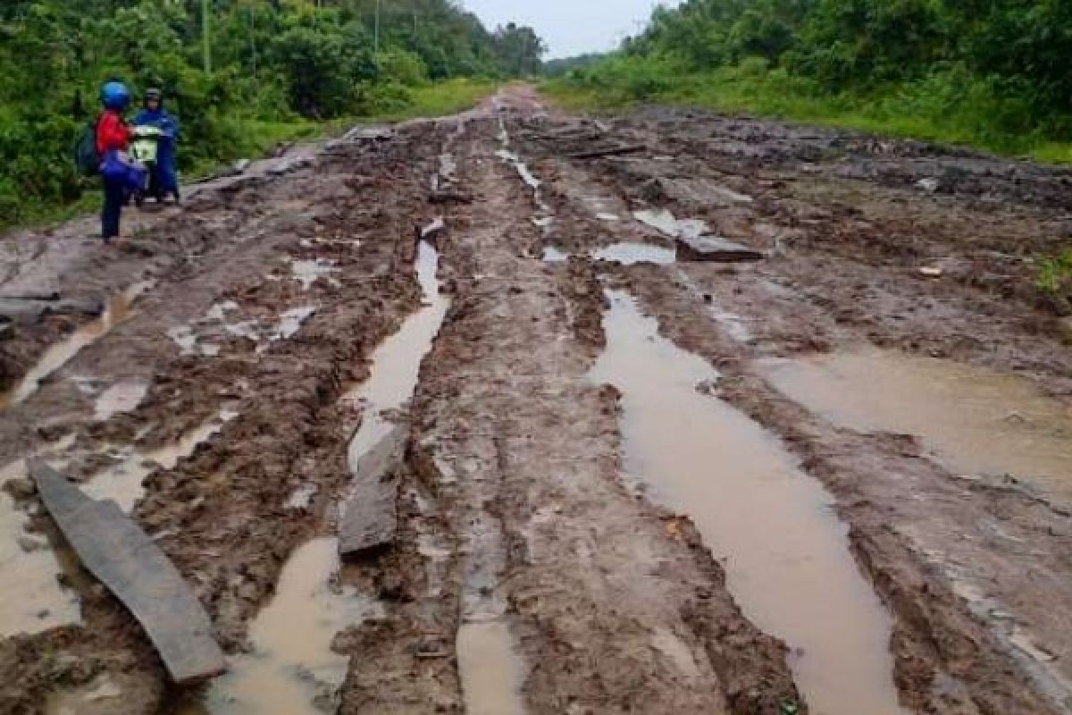Perusahaan Sawit Kuansing Diminta Aktif Lakukan Perbaikan Infrastruktur Jalan