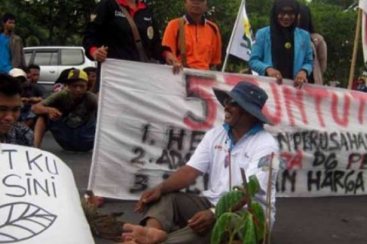 Ratusan Petani Sawit Demo Perusahaan Tuntut Pembayaran Hak Rp6 Miliar