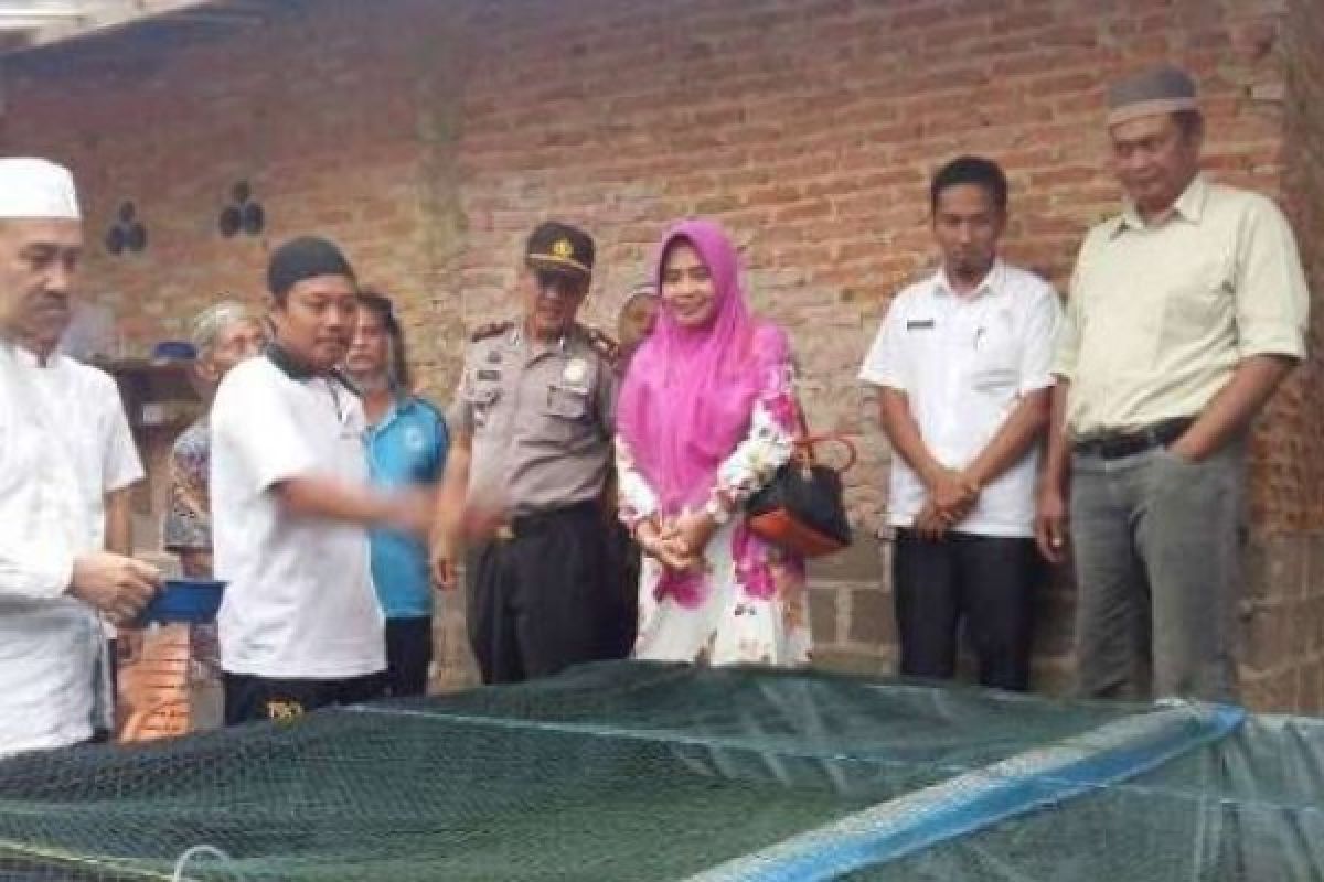 Sejumlah Pembudidaya Lele Siak Kembangkan Teknologi "Biolfoc"