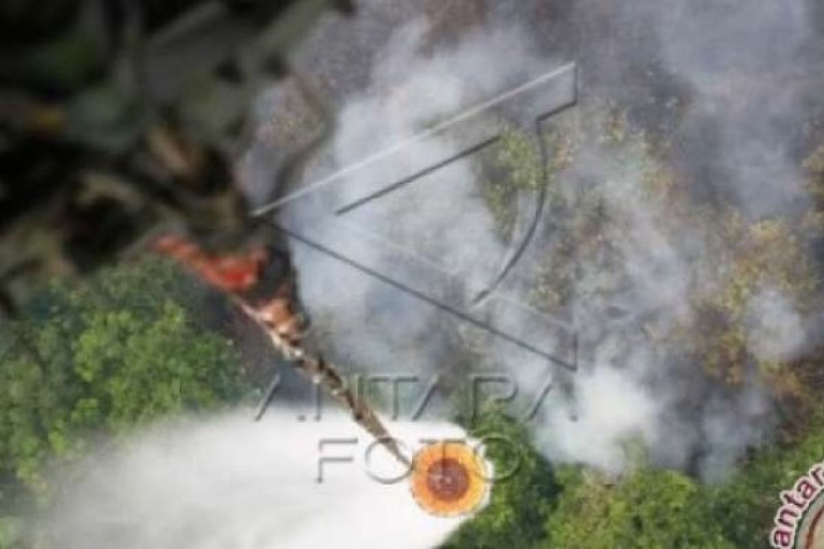 Waspada Karhutla Pesisir, Satgas Tempatkan Satu Unit Helikopter Di Dumai