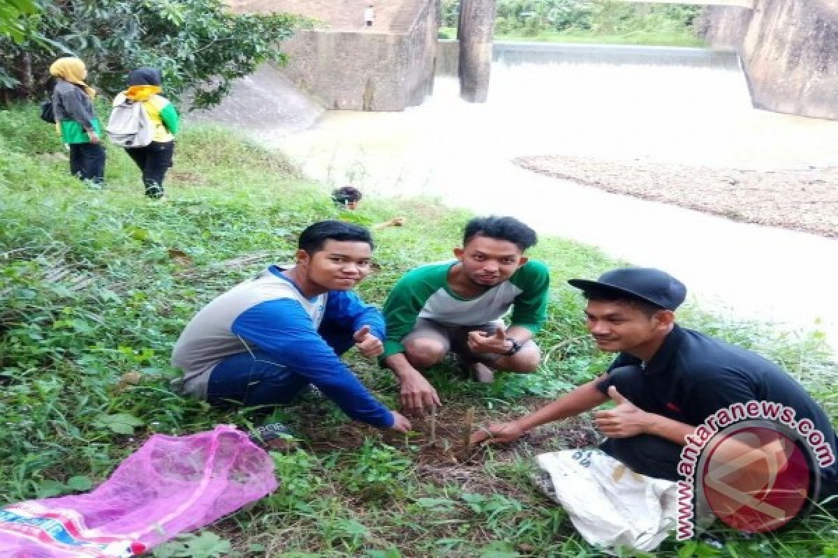 Barangai Tanam Penghijauan Di Bantaran Sungai Binuang