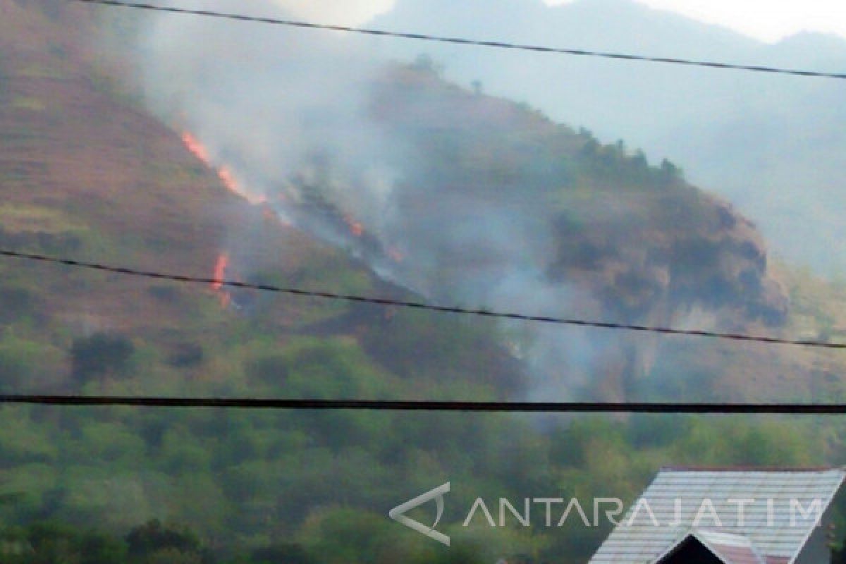 Dua Hektare Areal Hutan Trenggalek Terbakar