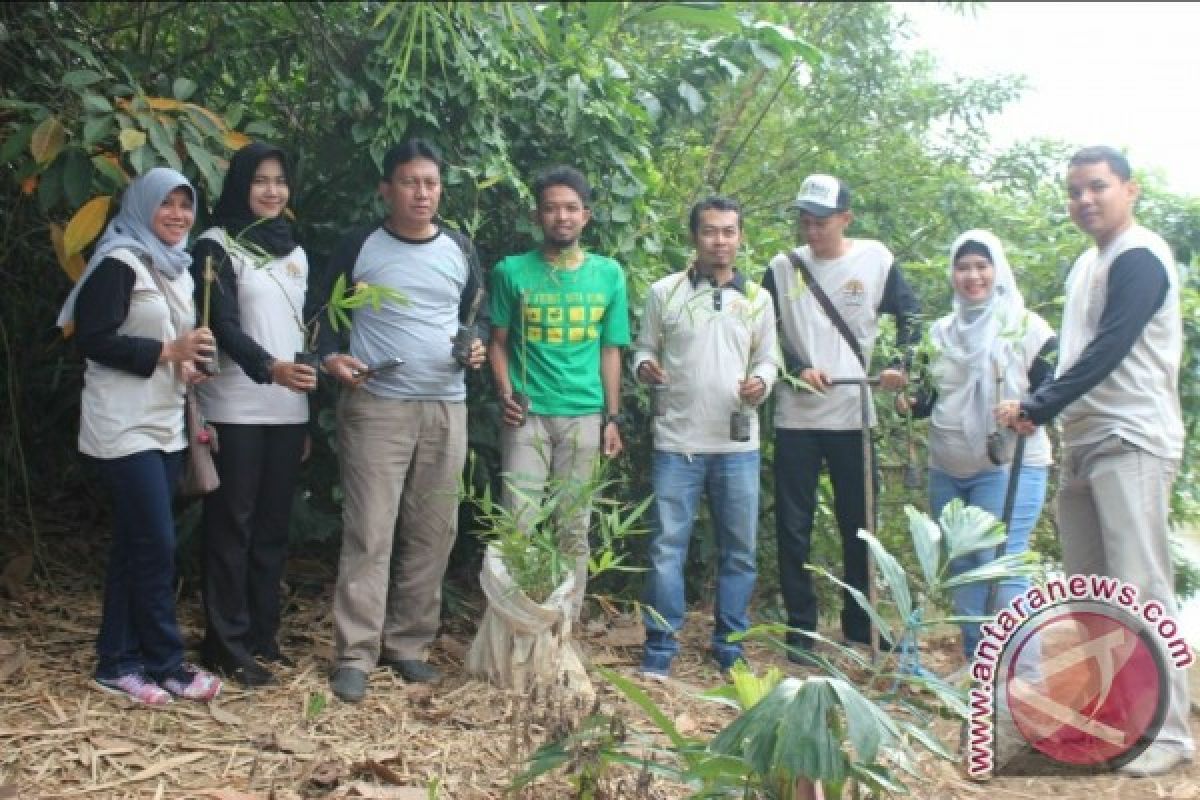 Bantaran Sungai Tapin Ditanami Bambu