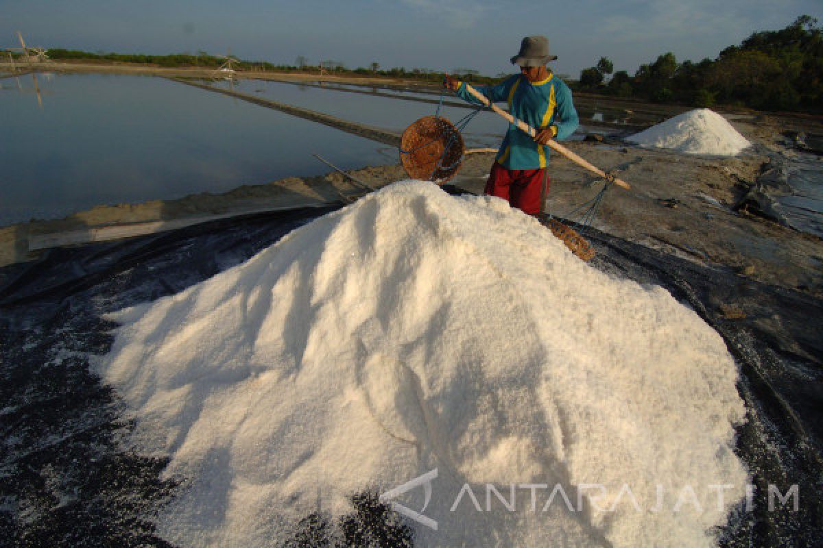 Harga Garam Konsumsi di Bangkalan Rp2.600/Kg