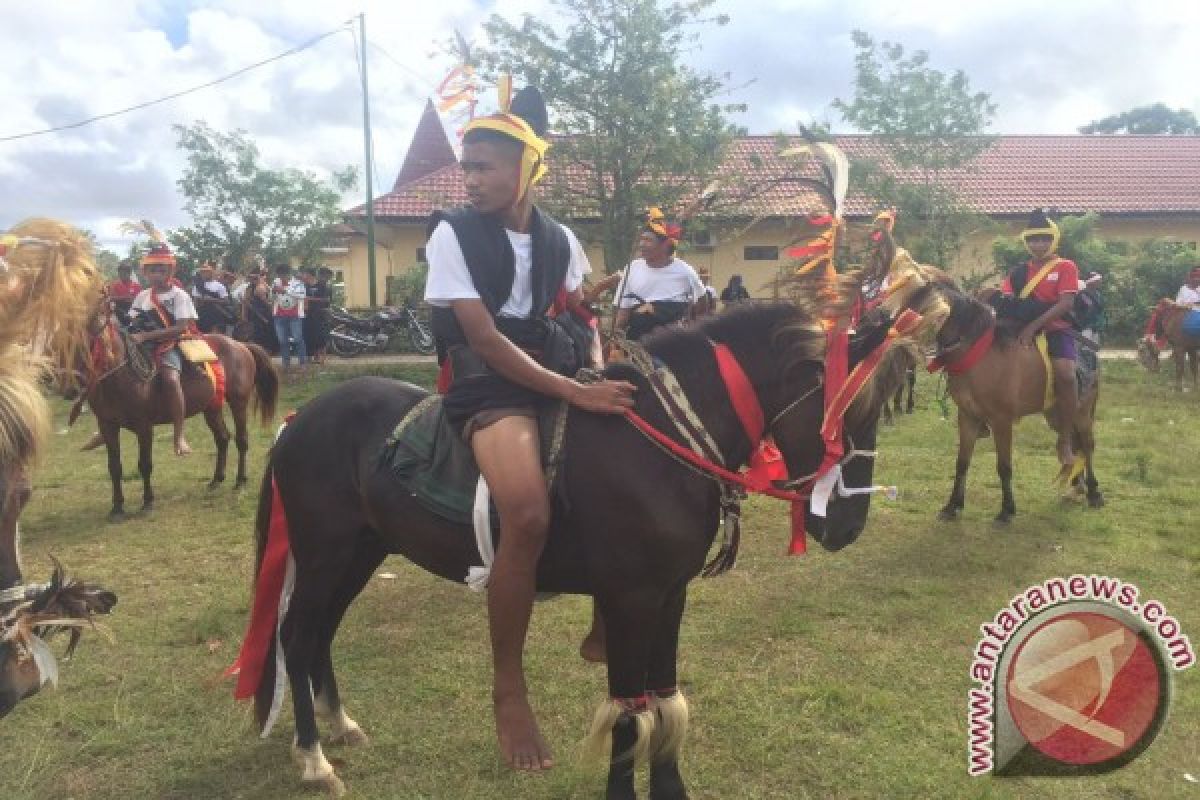 Parade Kuda Sandelwood Pertahankan Budaya Sumba