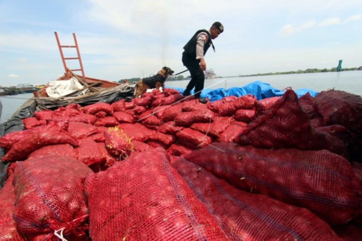 Delapan ton bawang merah ilegal dimusnahkan