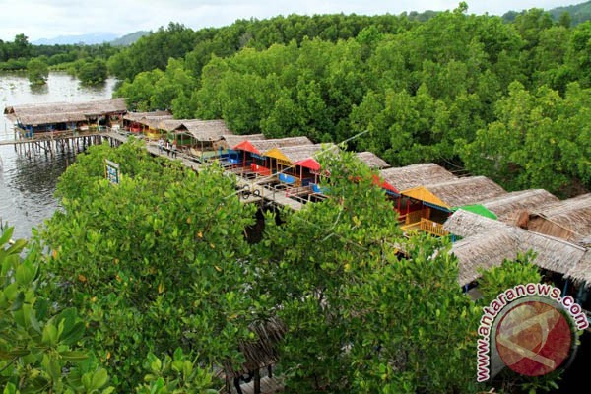 WISATA MANGROVE MAMUJU