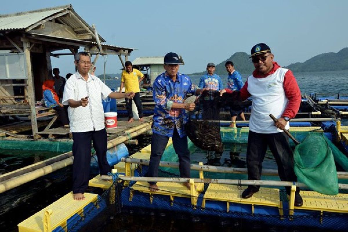 Politeknik Negeri Lampung Kian Diminati