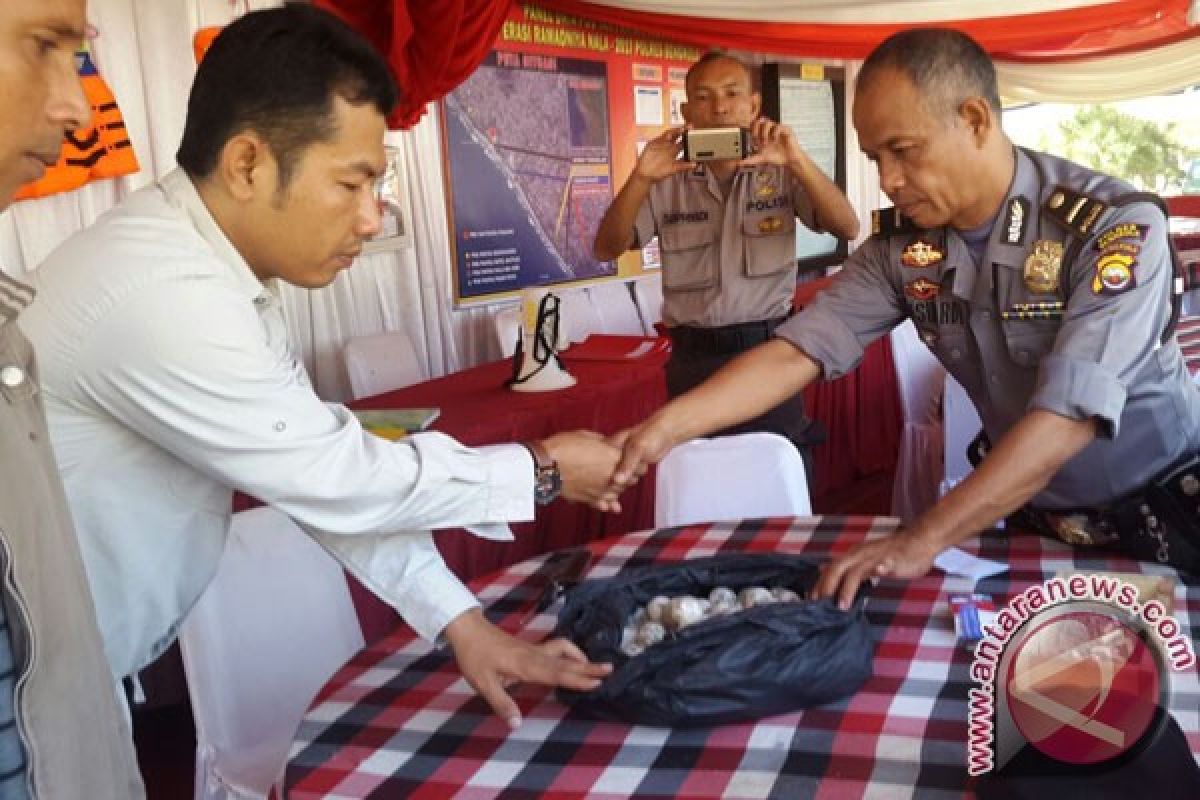 BKSDA Bengkulu-Lampung Mengamankan 124 Telur Penyu Hijau