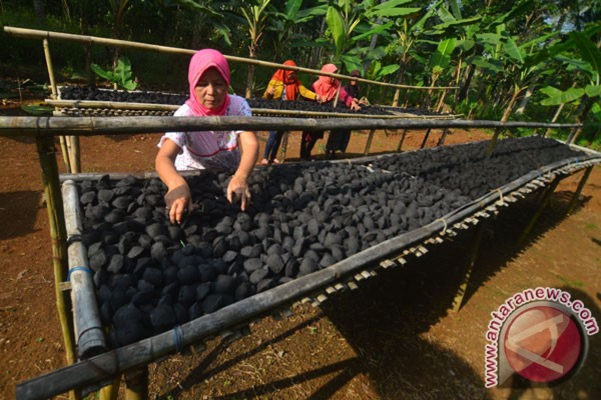 Legislator: RUU PPRT upaya negara lindungi pekerja rumah tangga