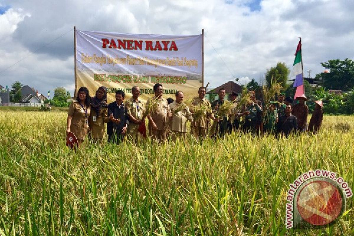 Kulon Progo didesak tetapkan lahan pertanian berkelanjutan 