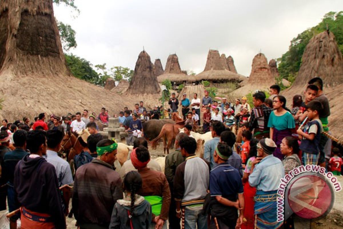 Aktivis benarkan kebakaran Kampung Adat Grusina