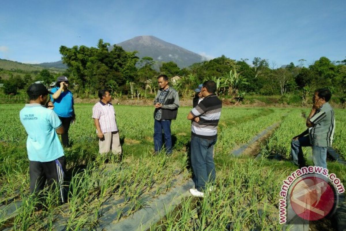 BI NTB Libatkan Pakar Pertanian Kembangkan Bawang Putih 