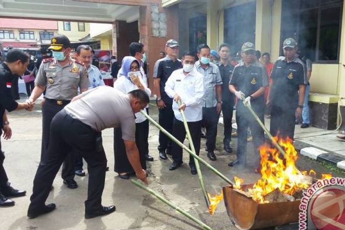 Polda Sumsel musnahkan 12,4 kg ganja 