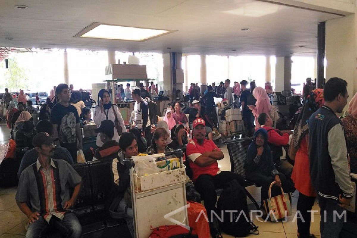 Manajemen Bandara Juanda Usir Burung Dengan Suara Frekuensi Tinggi