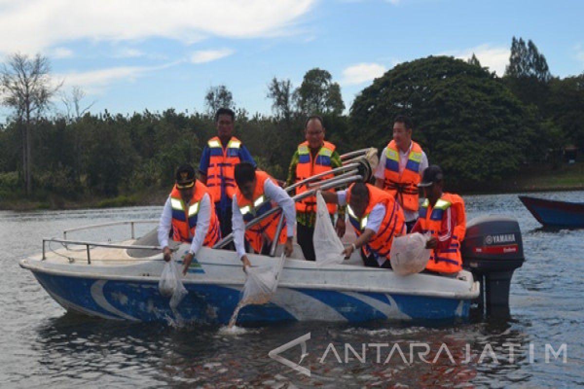 Madiun Tabur 80.000 Benih Ikan di Widas