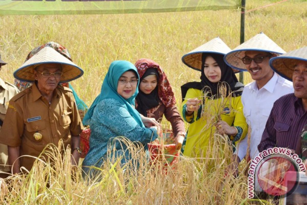 Mampu Panen Raya Ditengah Kepungan Banjir