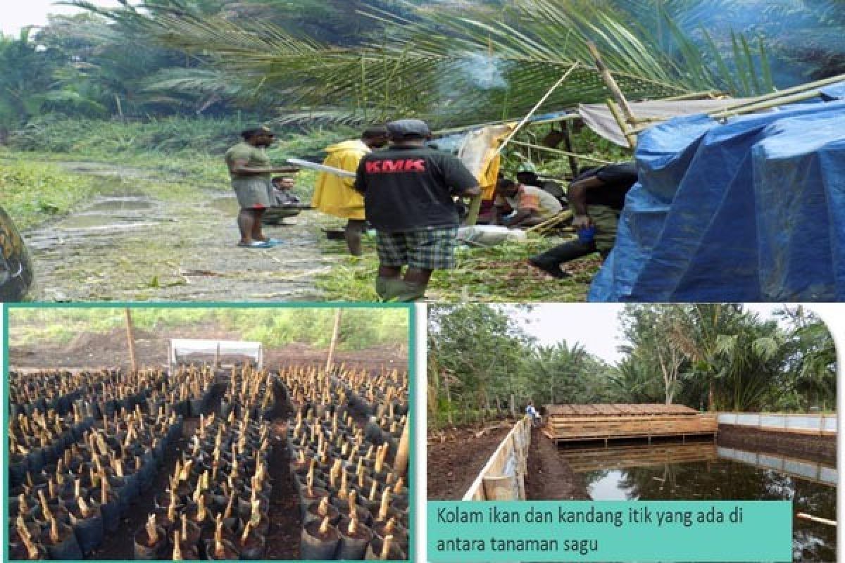 IPB Membangun Desa Sagu Di Kabupaten Meranti