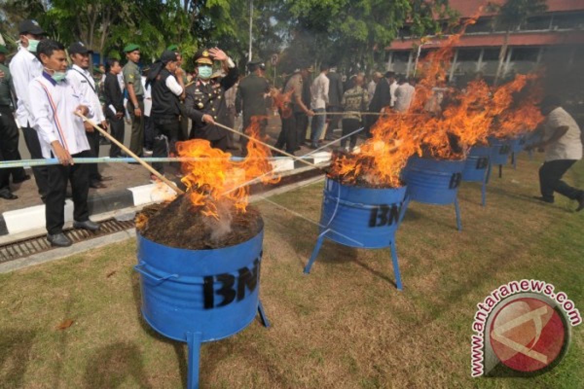 BNNP Aceh musnahkan 111 kilogram ganja