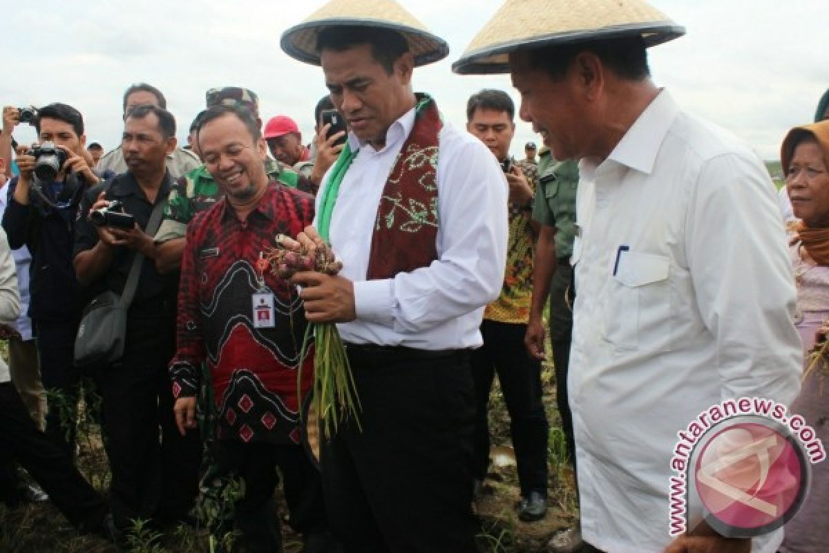 Tapin Yakin Cetak Lahan Pertanian Lampaui Target Nasioal