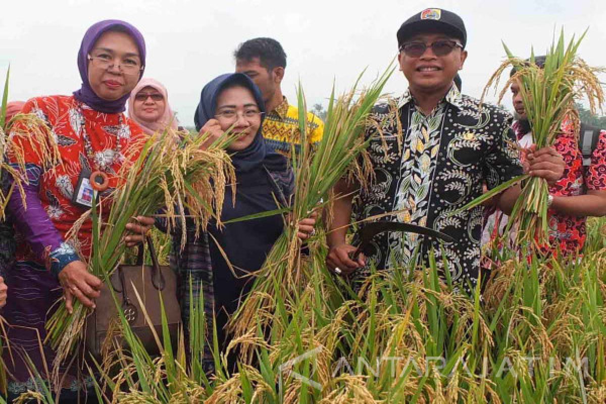 Kebijakan Impor Bisa  Mengancam Ketahanan Pangan