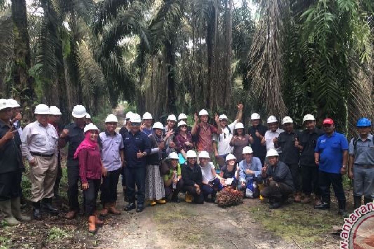 Mahasiswa Universitas Sidney Akui Perkebunan Sawit  Indonesia Berkelanjutan