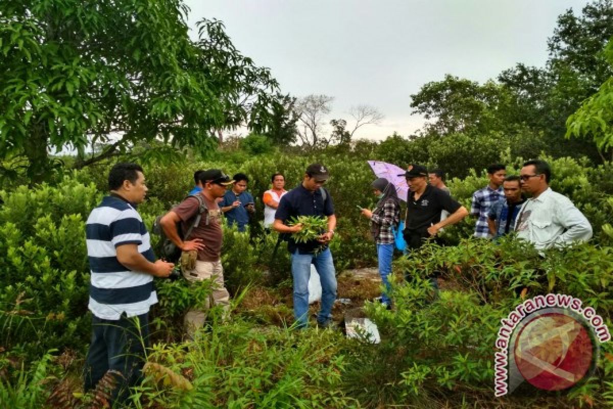 Pakar: Topografi Pulau Bakung Cocok Untuk Karantina