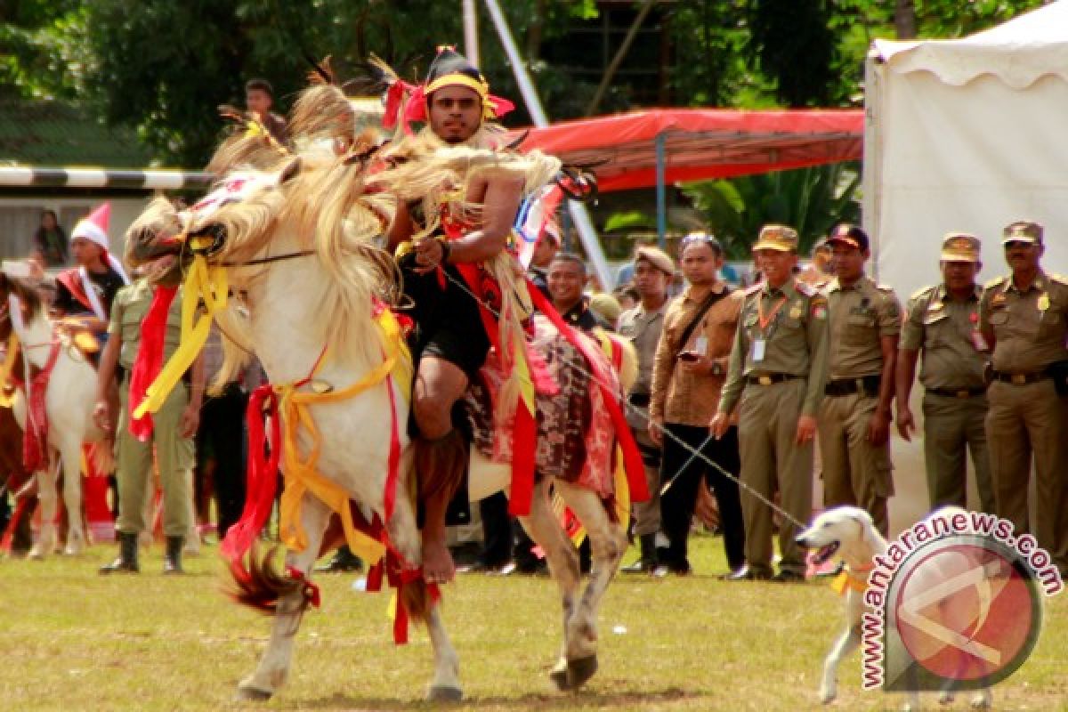 Parade kuda sandelwood difokuskan di padang sabana