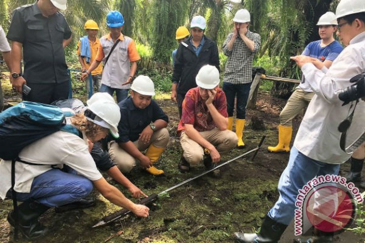 Mahasiswa Sydney buktikan gambut bukan penyebab kebakaran