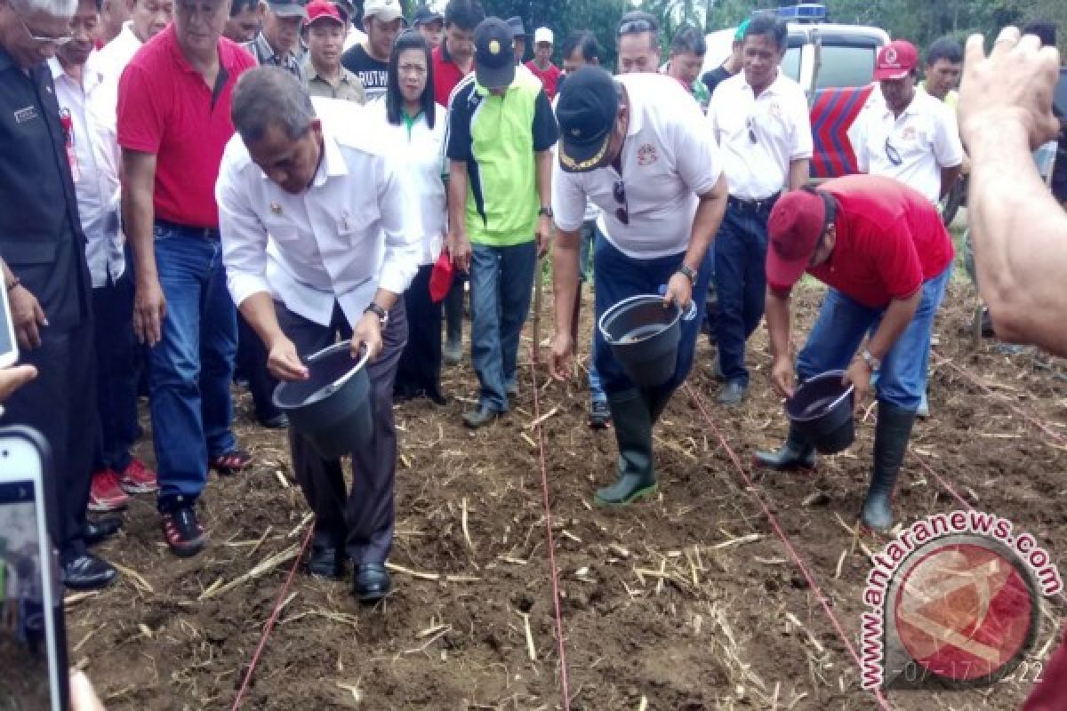 Dihadiri JWS, Petani Kawangkoan Raya Menanam