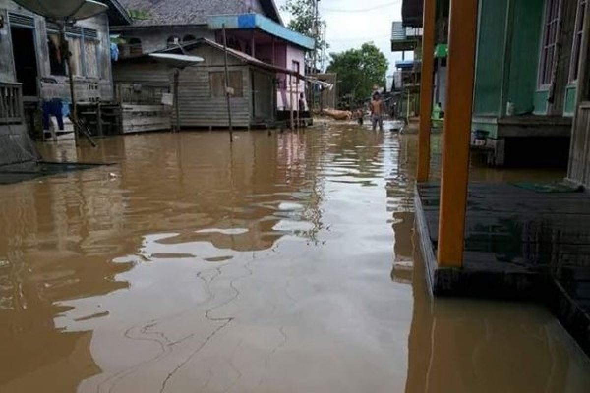 Banjir di Barito Utara Capai 60 Centimeter