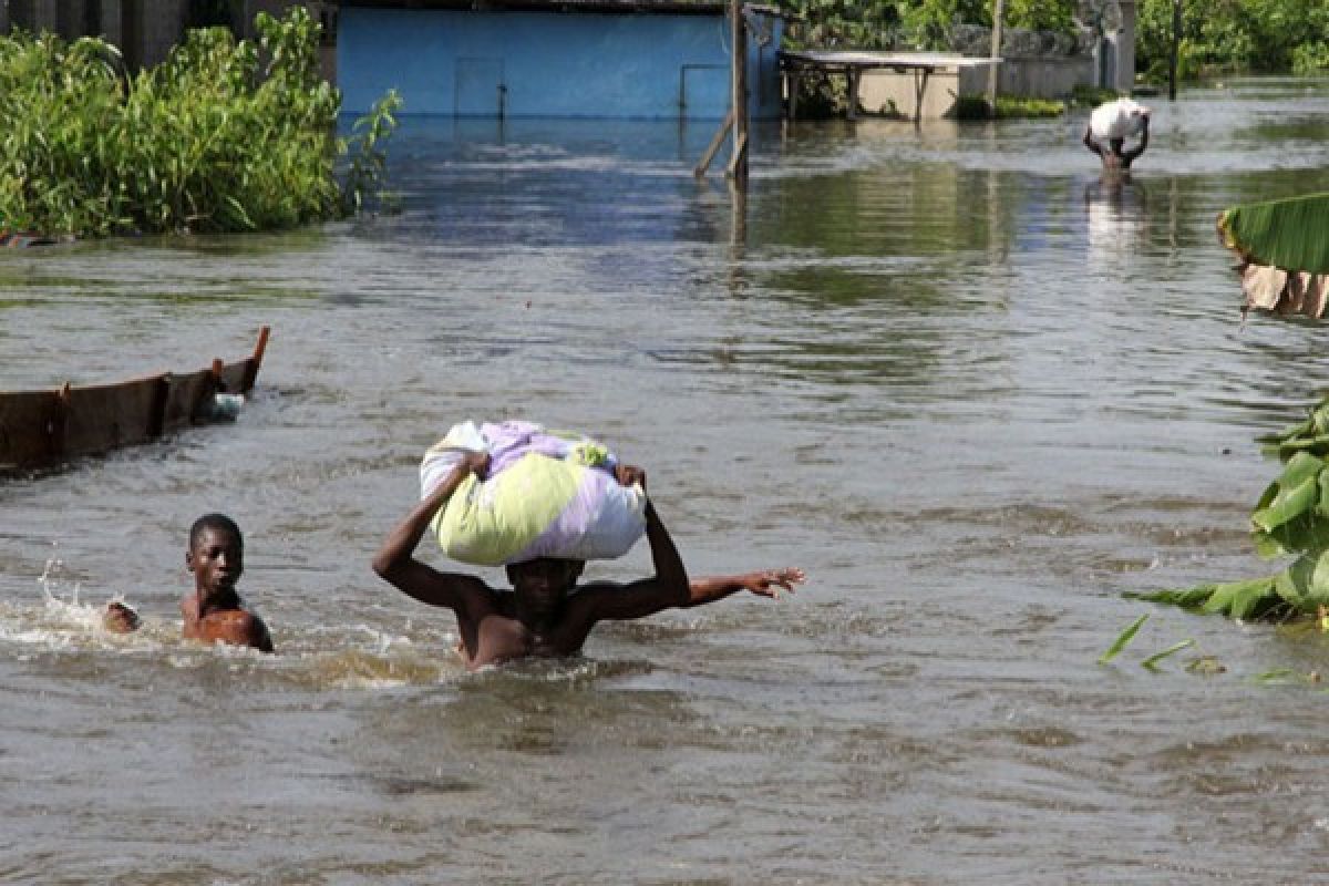 Banjir pengaruhi panen di Nigeria