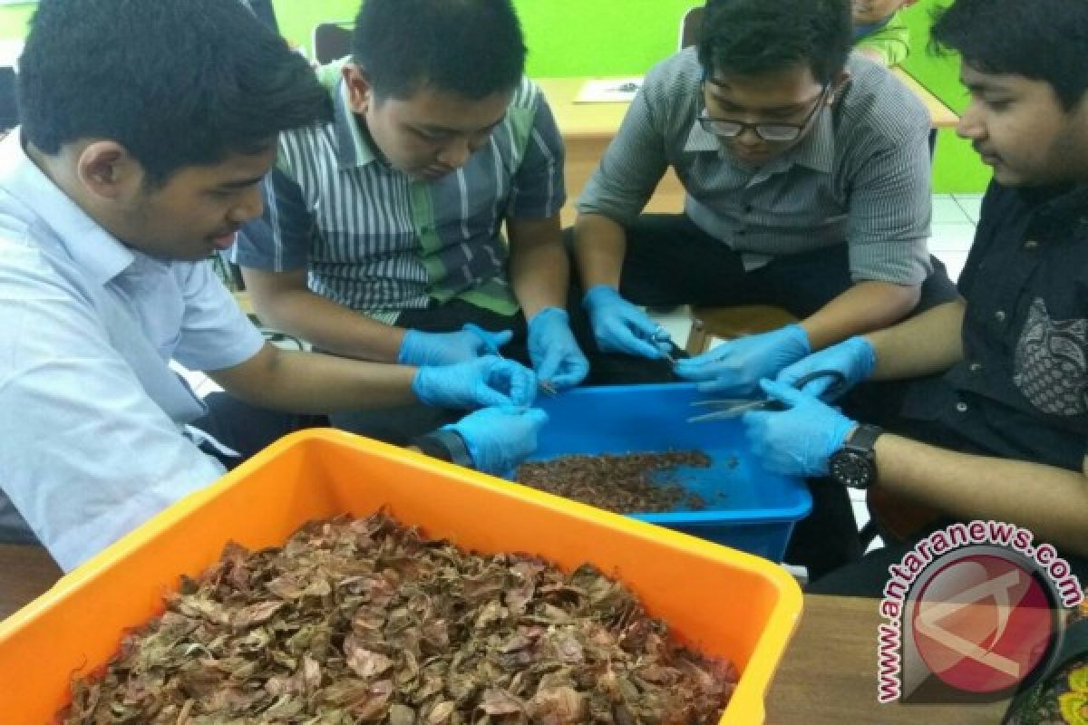 Penelitian Mahasiswa FK UMSU Kulit Bawang Merah Untuk Kesehatan Hati