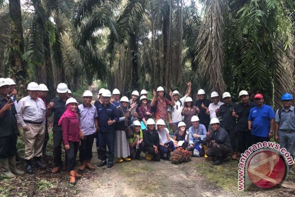 Mahasiswa Sidney Apresiasi Industri Sawit Di Riau