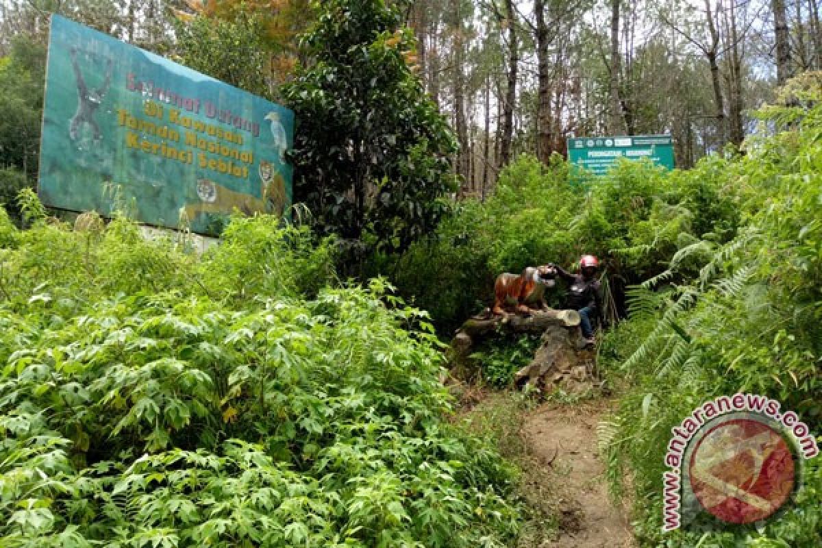 Mukomuko Belum Kaji Dampak Pembukaan Jalan TNKS