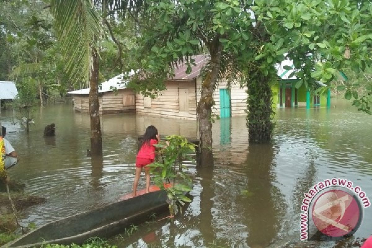 Petani Ikan Kabupaten Bangka Selatan Rugi Rp200 Juta Akibat Banjir