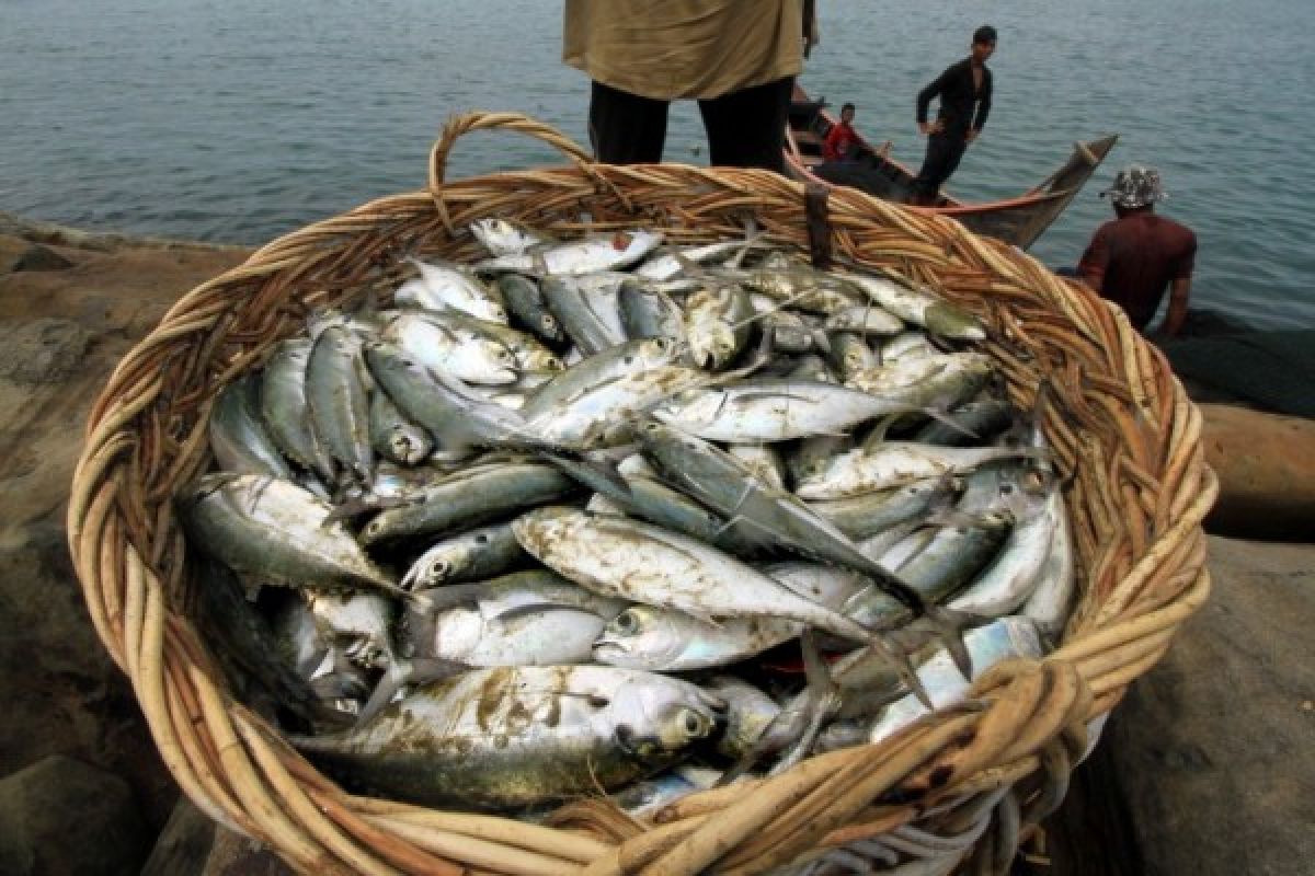 Nelayan Baron tangkap ikan satu kuintal/hari 