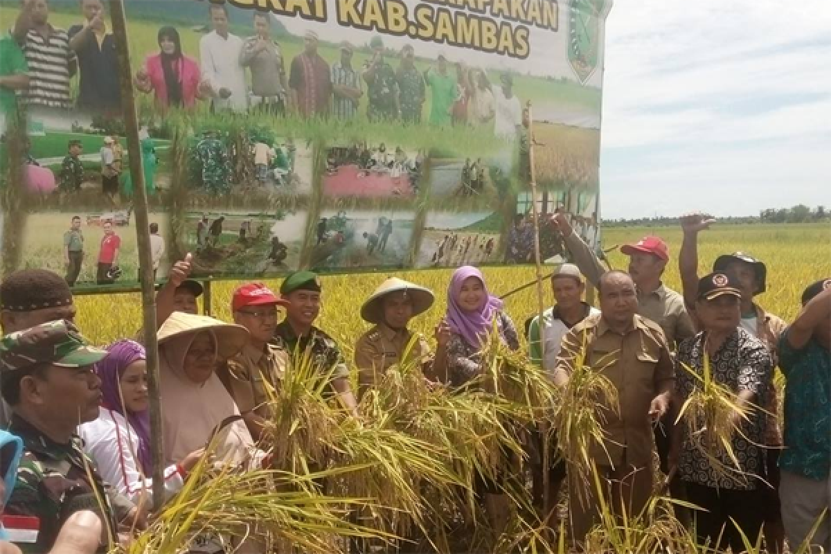 Bupati Sambas Ajak Generasi Muda Bertani 