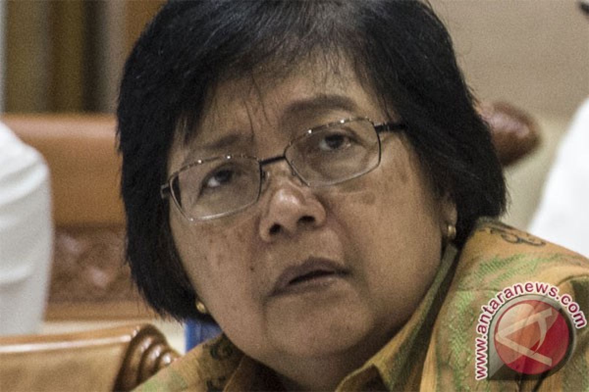 Siti seeks to convince EU on improvement in forest protection