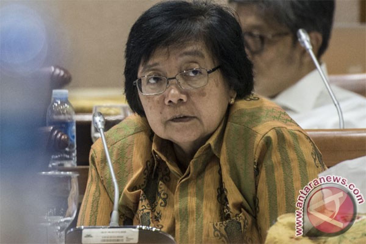 RAPP must abide by regulations: environment minister
