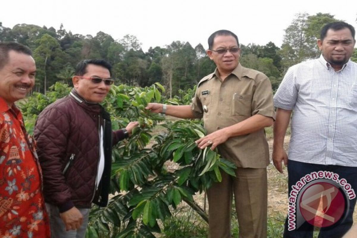 Ketum DPN HKTI Kagumi Potensi Pertanian Lingga