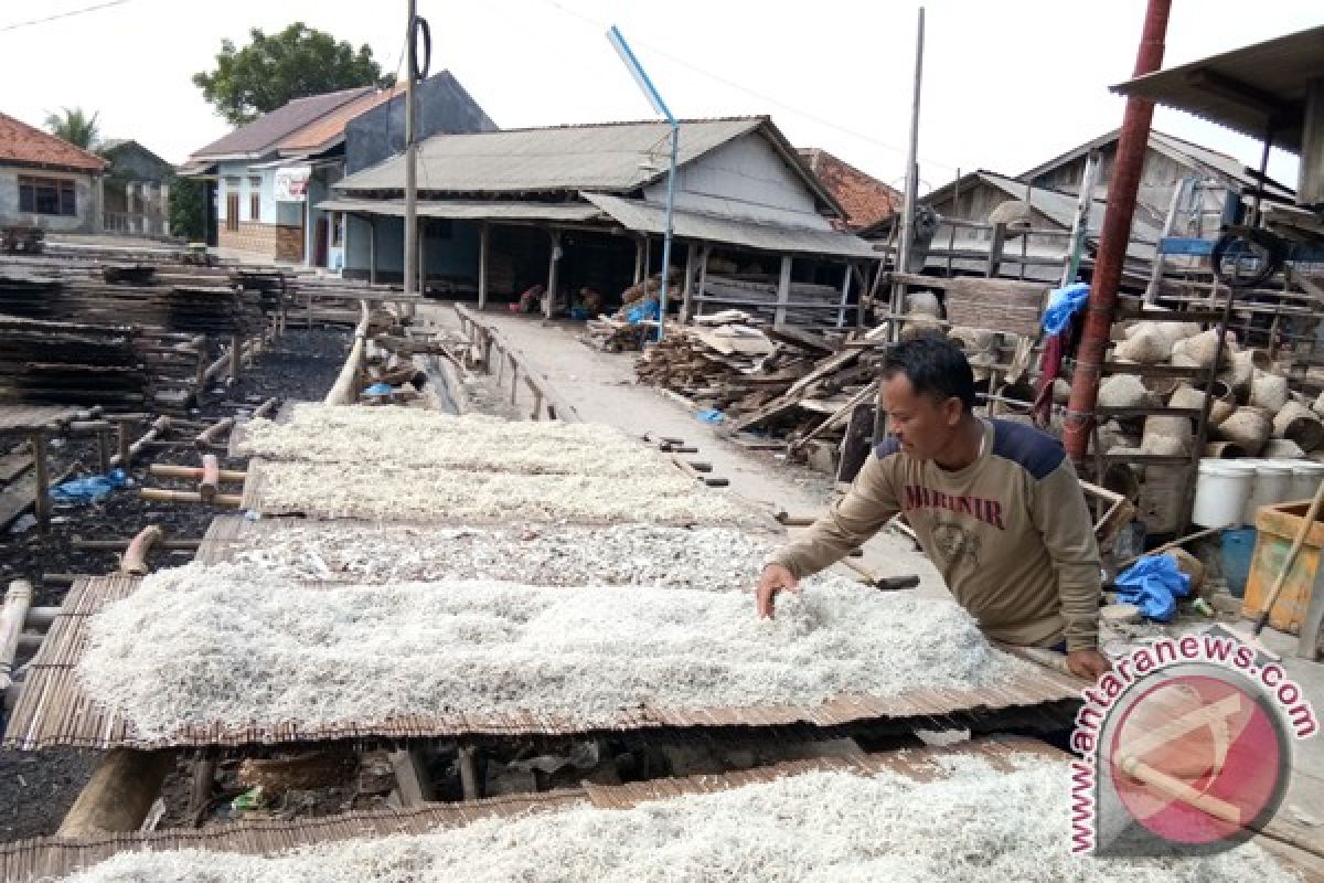 Produksi teri Pulau Pasaran terkendala garam