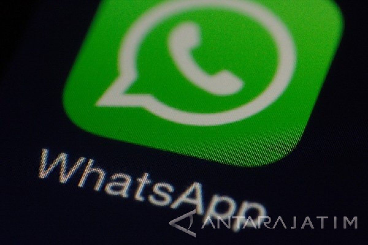 WhatsApp Versi Baru Ada Menu Kecilkan Video Call